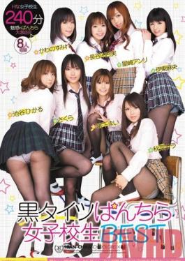 ELO-368 Studio Yellow School Girls in Black Tights, Panty Shots BEST