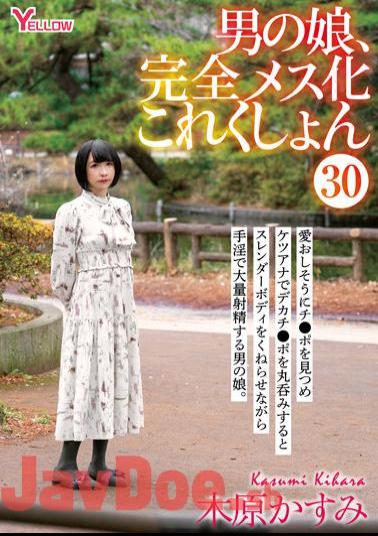 HERY-133 Man's Daughter, Completely Female Collection 30 Kasumi Kihara