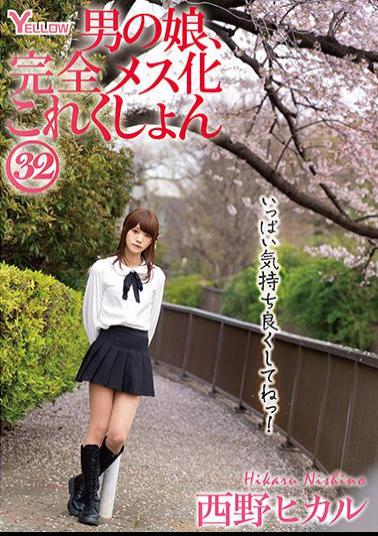 HERY-136 Man's Daughter, Complete Female Collection 32 Hikaru Nishino