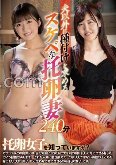 SAN-268 240 Minutes Of A Lewd Cuckoo Wife Who Wants To Be Impregnated By Someone Other Than Her Husband