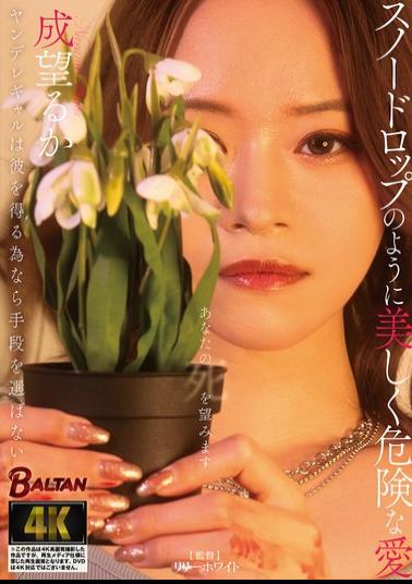 BAGR-090 A Yandere Girl Will Stop At Nothing To Win Him Over. A Love As Beautiful And Dangerous As A Snowdrop. Will It Succeed?